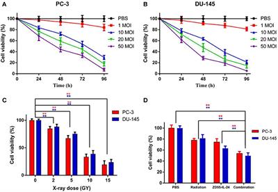 Combination Therapy of Prostate Cancer by Oncolytic Adenovirus Harboring Interleukin 24 and Ionizing Radiation